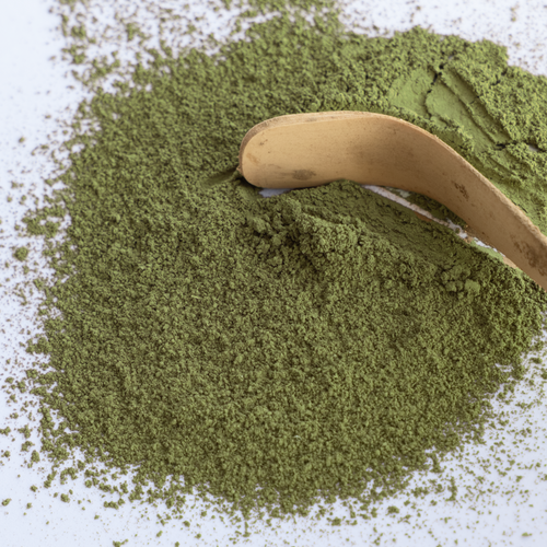 Japanese Organic Matcha — Saemidori, 1st Harvest (Ichibancha)