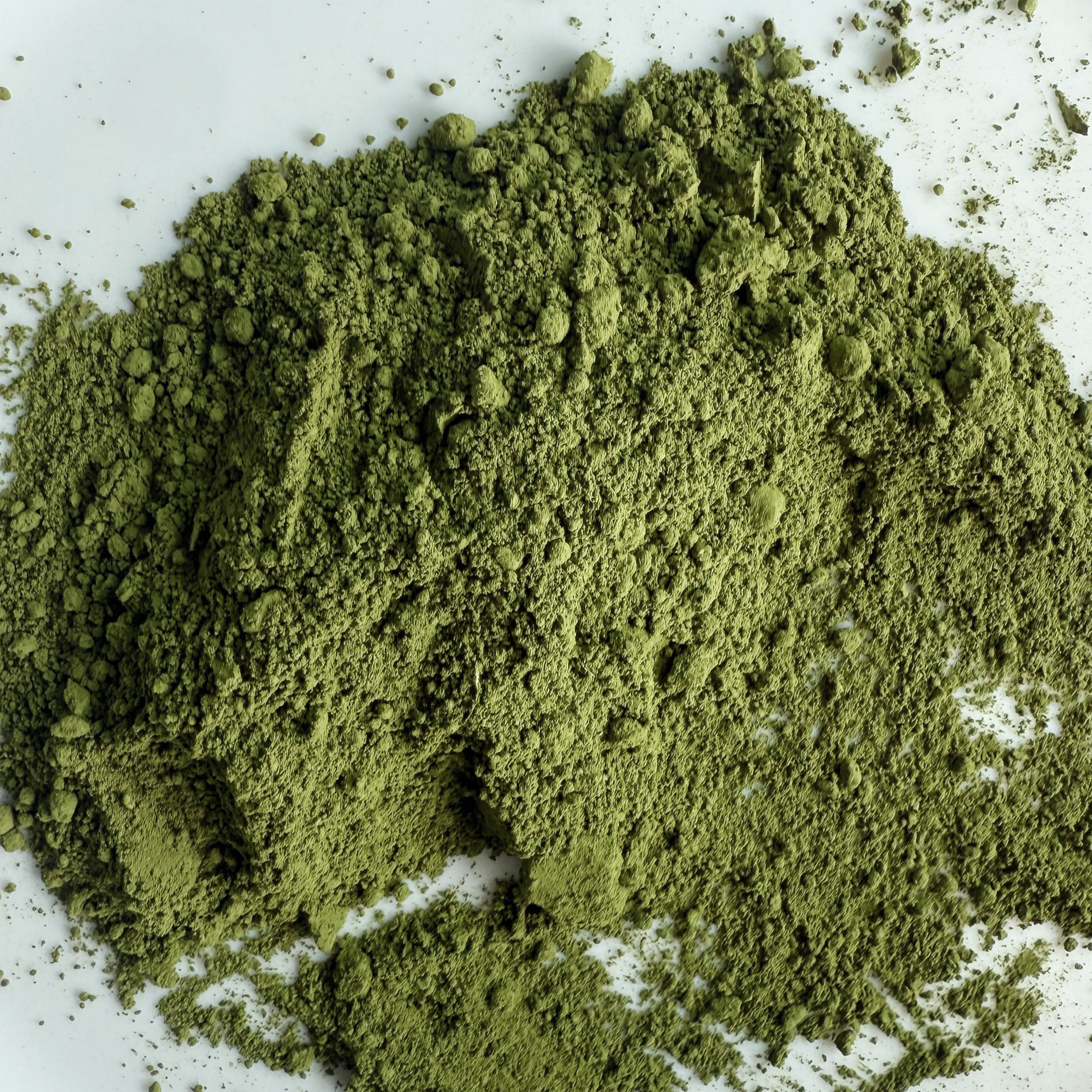 Japanese Organic Matcha — Saemidori, 1st Harvest (Ichibancha)