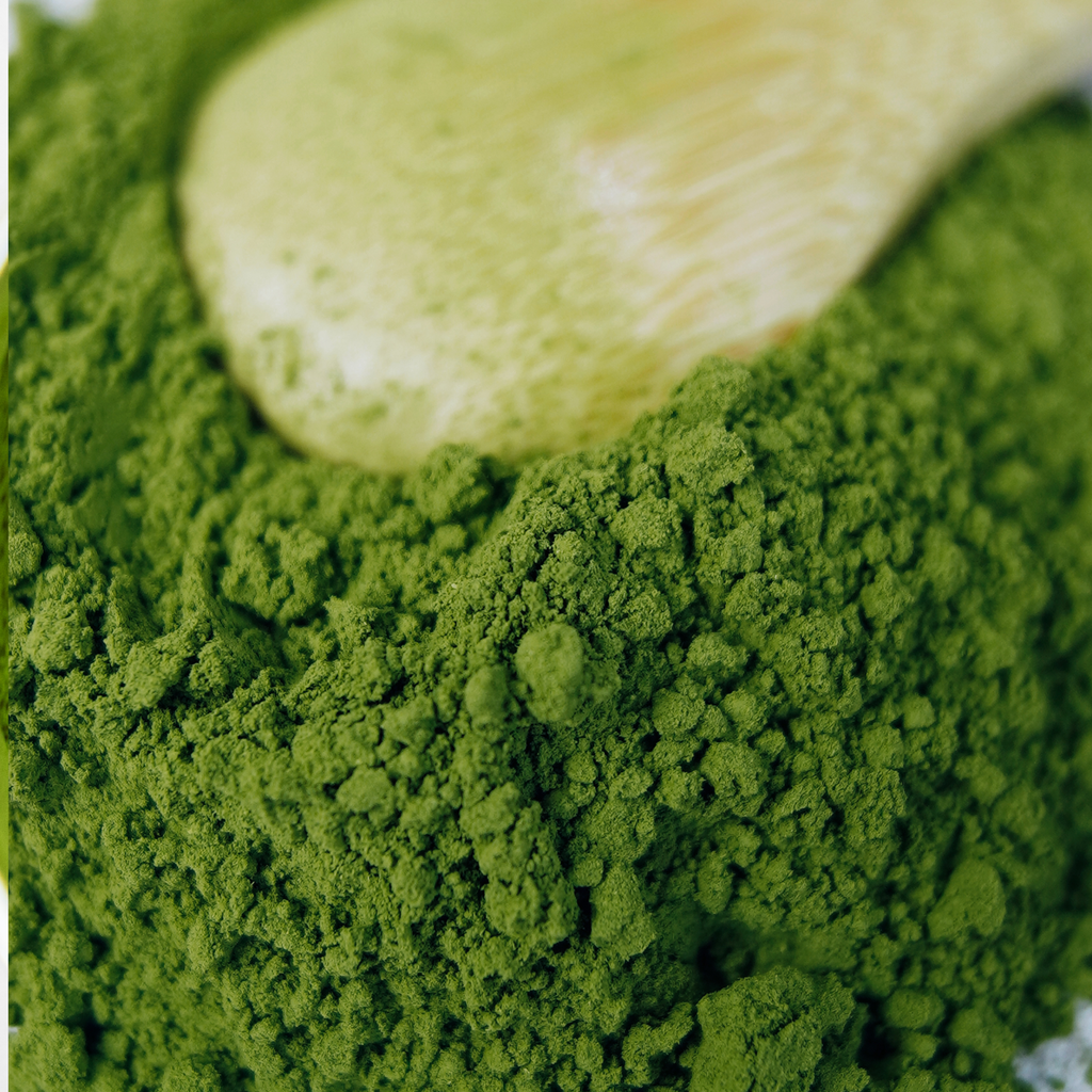Japanese Organic MATCHA | Tsuyuhikari Single Origin