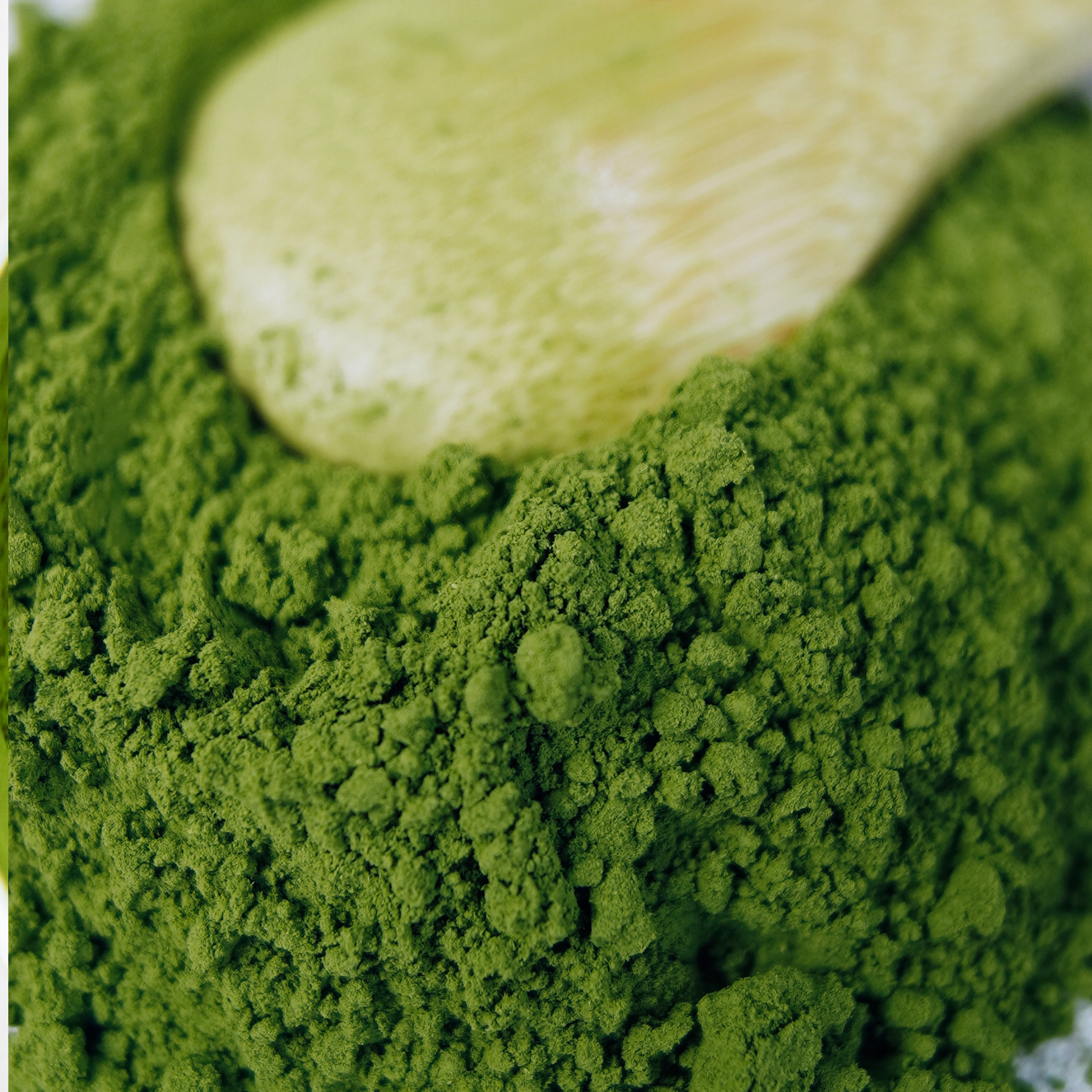 Japanese Organic MATCHA | Tsuyuhikari Single Origin